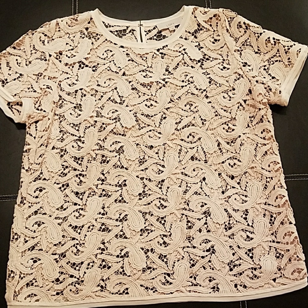 Loft. Lace top. Short sleeve
